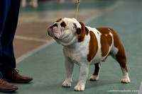 cavinessphoto_candids_CCP0834
