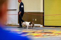 cavinessphoto_candids_CCP2717