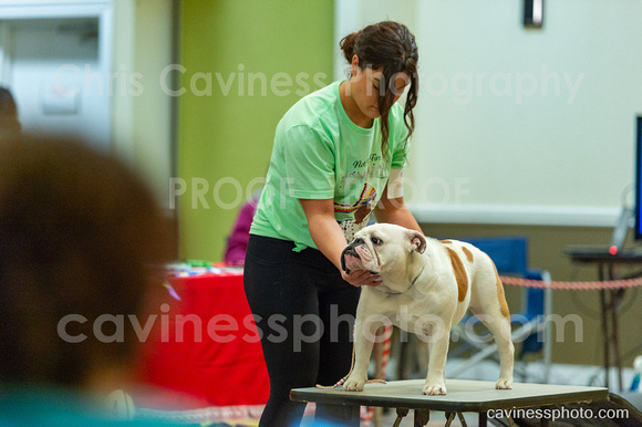 cavinessphoto_candids_CCP3069