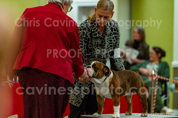 cavinessphoto_candids_CCP2752