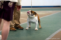 cavinessphoto_candids_CCP0566