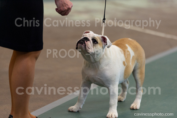 cavinessphoto_candids_CCP0673