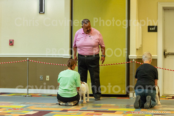 cavinessphoto_candids_CCP3059