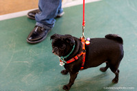 cavinessphoto_candids_CCP0505