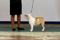 cavinessphoto_candids_CCP1010