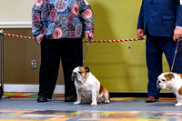 cavinessphoto_candids_CCP2421