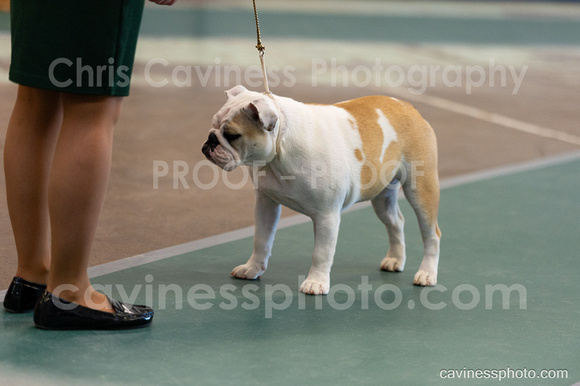 cavinessphoto_candids_CCP1411