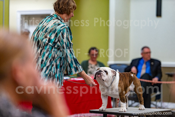 cavinessphoto_candids_CCP2885