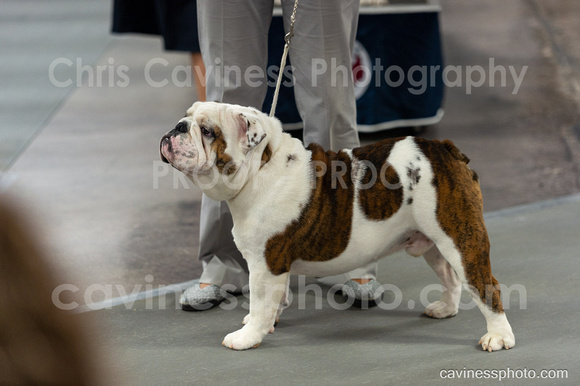 cavinessphoto_candids_CCP9664