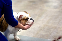 cavinessphoto_candids_CCP9657