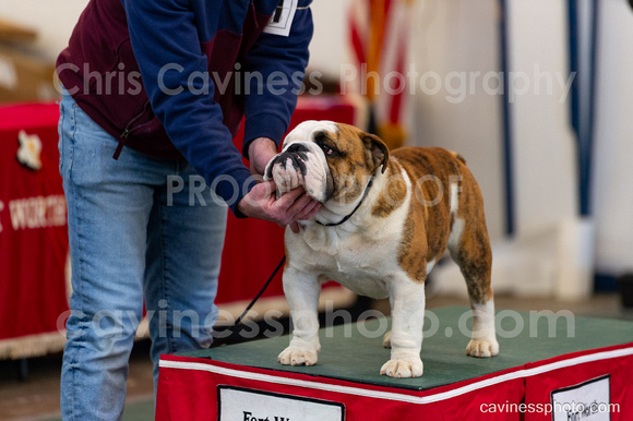 cavinessphoto_candids_CCP1646