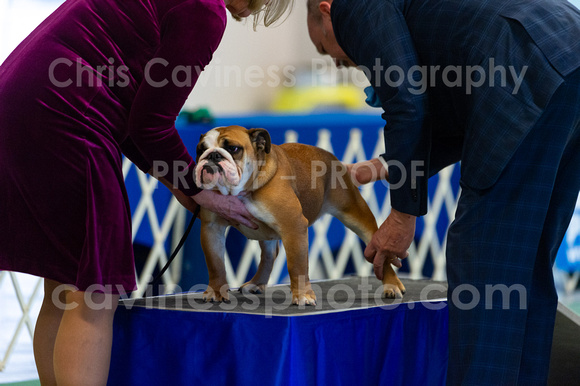 cavinessphoto_candids_CCP7575