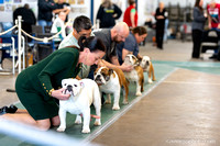 5 Sun Dogs Candids