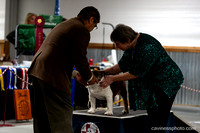 cavinessphoto_candids_CCP8656