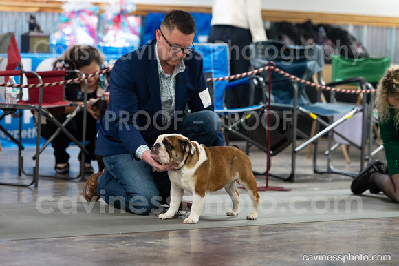 cavinessphoto_candids_CCP8490