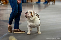 cavinessphoto_candids_CCP0236