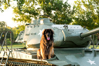 Patton and the Tank