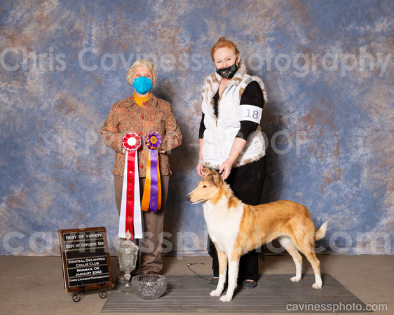 cavinessphoto_win_CCP4041