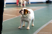 cavinessphoto_candids_CCP1640