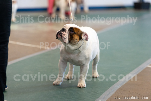 cavinessphoto_candids_CCP1640