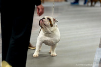 cavinessphoto_candids_CCP0235