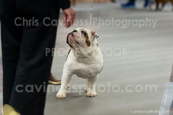 cavinessphoto_candids_CCP0235