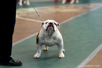 cavinessphoto_candids_CCP1633
