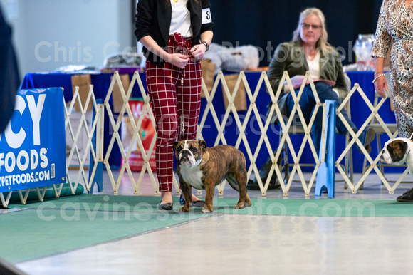 cavinessphoto_candids_CCP7555