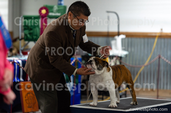cavinessphoto_candids_CCP8494