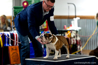 cavinessphoto_candids_CCP8499