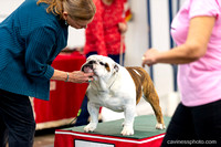 cavinessphoto_candids_CCP1630