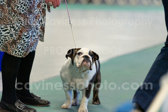 cavinessphoto_candids_CCP7570