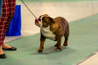 cavinessphoto_candids_CCP7117