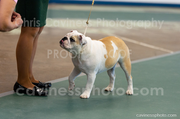 cavinessphoto_candids_CCP1407