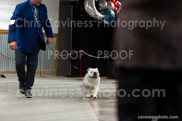 cavinessphoto_candids_CCP8316