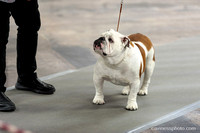 cavinessphoto_candids_CCP9643