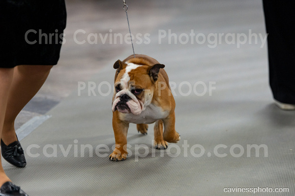 cavinessphoto_candids_CCP0006