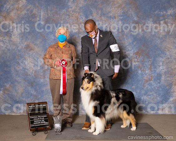cavinessphoto_win_CCP4038
