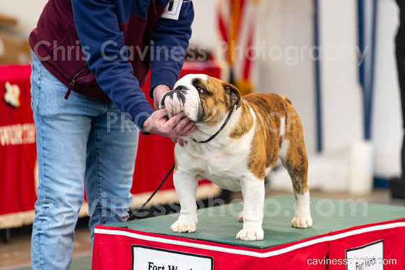 cavinessphoto_candids_CCP1647