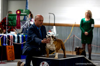 cavinessphoto_candids_CCP8667