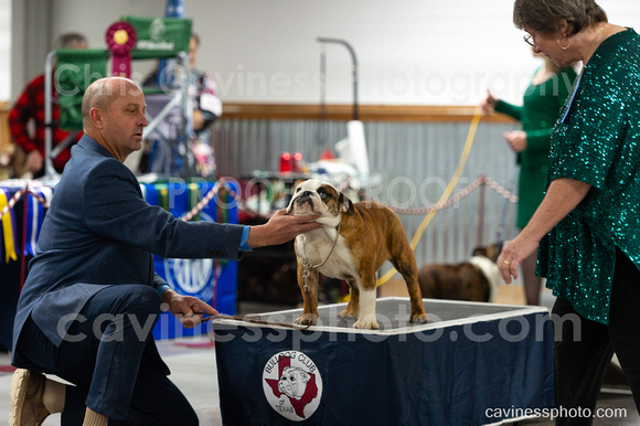 cavinessphoto_candids_CCP8670