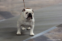 cavinessphoto_candids_CCP9644