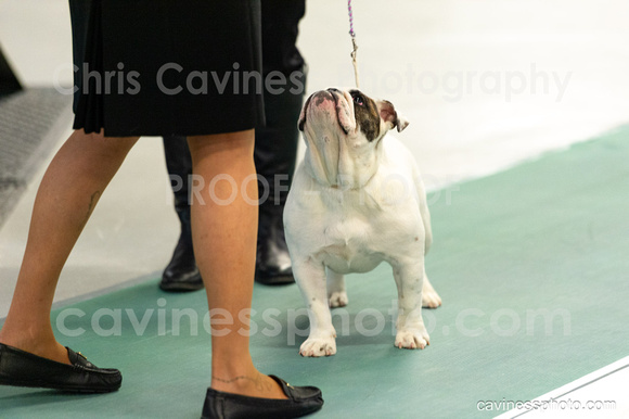 cavinessphoto_candids_CCP2338
