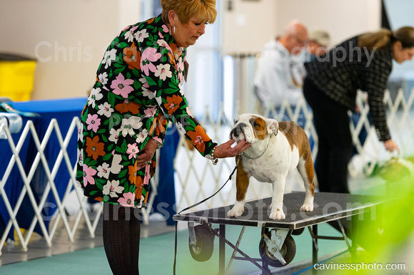 cavinessphoto_candids_CCP2340