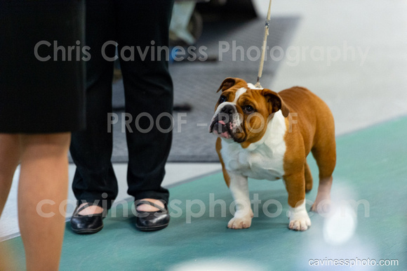 cavinessphoto_candids_CCP2351