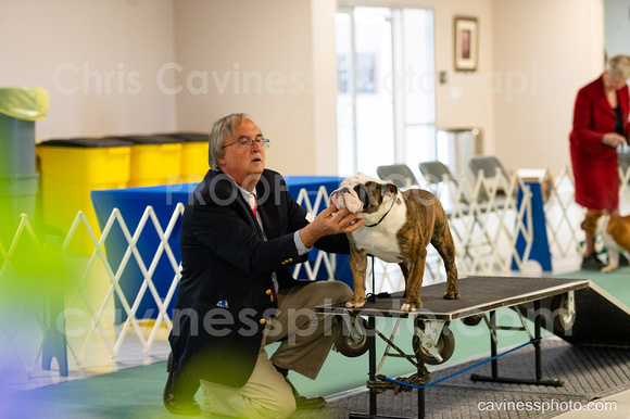 cavinessphoto_candids_CCP2646