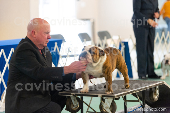 cavinessphoto_candids_CCP2859