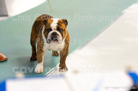 cavinessphoto_candids_CCP2862