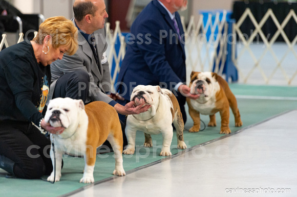 cavinessphoto_candids_CCP3163