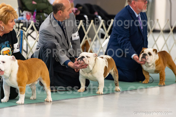 cavinessphoto_candids_CCP3164